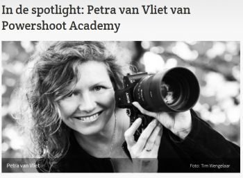 Artikel over Petra Nieuws.nl